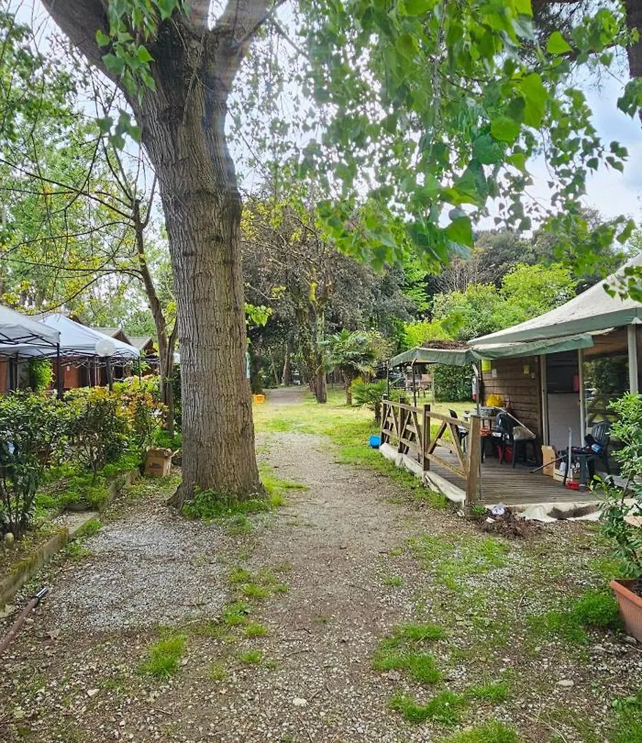 Residence Pini E Pioppi Massa
